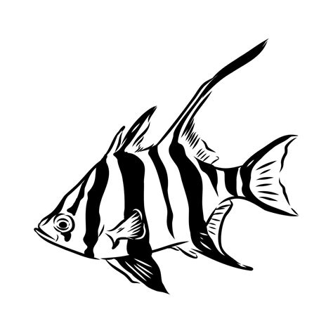 marine striped fish Australian stickleback 58233517 Vector Art at Vecteezy