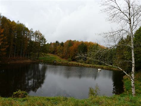 SAINT YRIEIX Le DEJALAT RANDONNER A LIMOGES