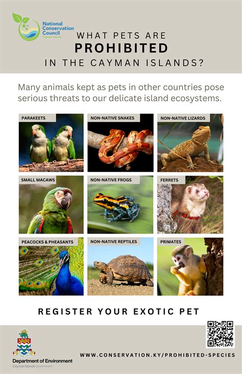 Prohibited Species – The National Conservation Council