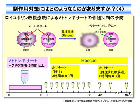 がん化学療法の副作用対策入門（1） 株式会社メディカルエデュケ－ション