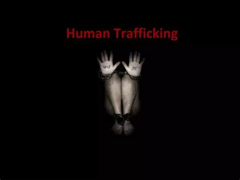 Ppt Human Trafficking Powerpoint Presentation Free Download Id 4978599