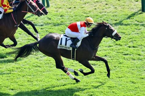 【新馬東京5r】2億円ホース、ショウナンラピダスがデビュー戦快勝 競馬ニュースなら競馬のおはなし