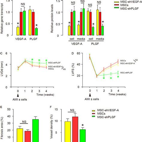 Mscs Produced Plgf To Promote Neovascularization After Cardiac Muscle