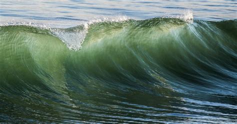 The present and future of the #GreenWave – Part 1: The Present ...