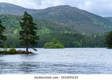 Loch Eilein Castle Images Stock Photos D Objects Vectors