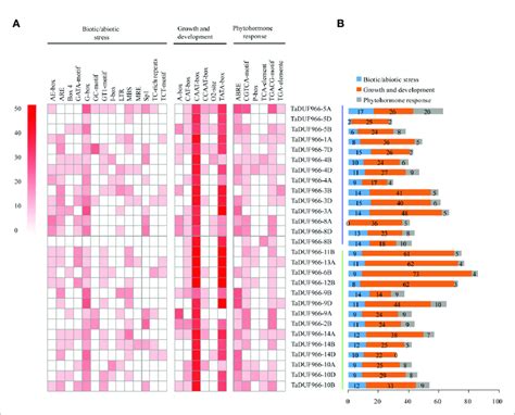 Cis Acting Elements In The Promoters Of Hexaploidy Wheat Duf966