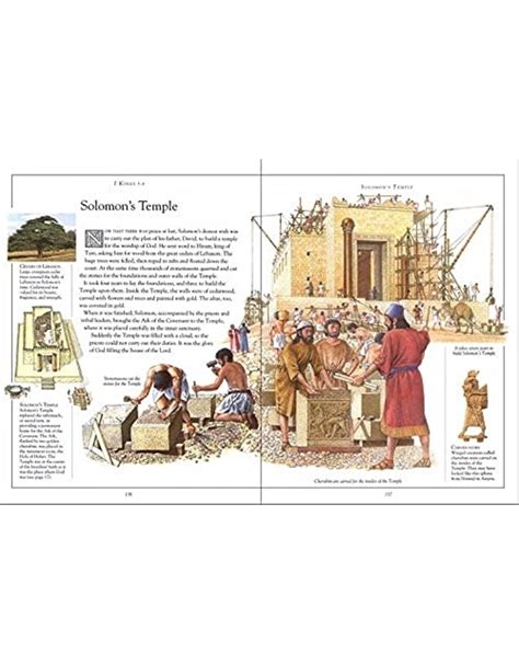 The Children S Illustrated Bible Stories From The 3