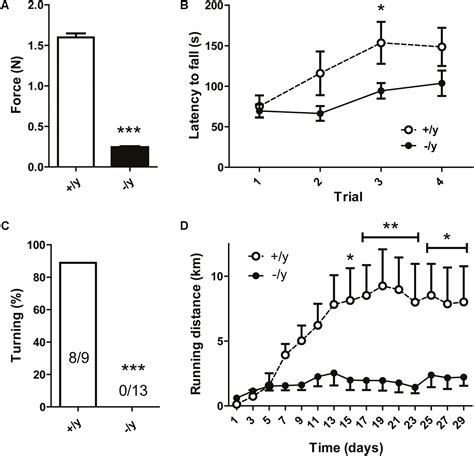 Frontiers A Mouse Model Of Creatine Transporter Deficiency Reveals