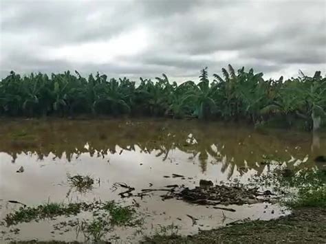 Río Tumbes Se Desborda E Ingresa A La Ciudad Tras Intensas Lluvias Por