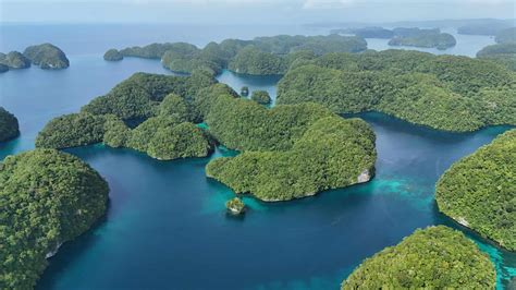discover palaus legendary rock islands oceanic society