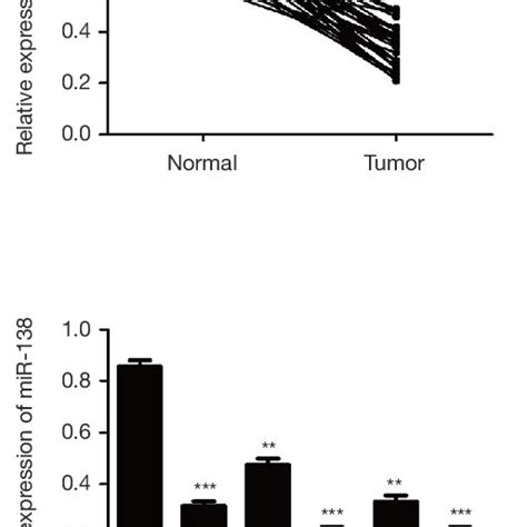 MiR 138 Is Down Regulated In CRC Tissues And Cell Lines A Relative