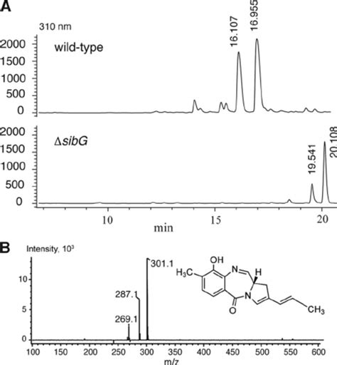 A Hplc Analyses Of The Secondary Metabolites Produced By Wild Type