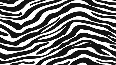 Zebra Pattern Wallpapers Top Free Zebra Pattern Backgrounds Wallpaperaccess