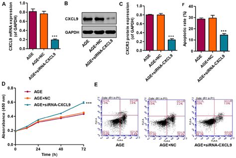 Effect Of Cxcl Knockdown On The Proliferation And Apoptosis Of