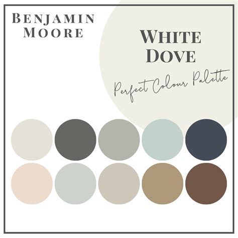 White Dove - Perfect Colour Palettes - Claire Jefford