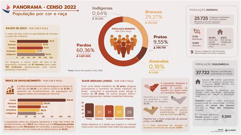 Infográfico População por Cor e Raça Panorama do Censo 2022