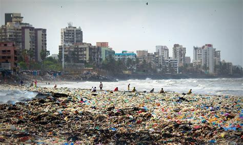 India: 1500 Volunteers Clear 3 Million Tons of Trash from Mumbai Beach