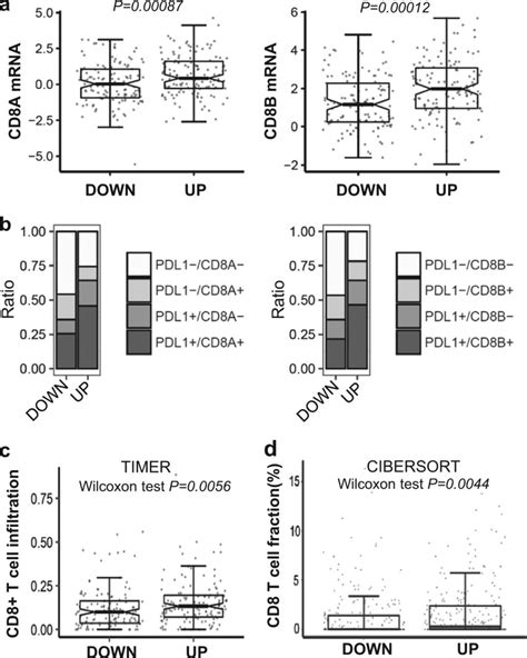 Apobec3b Upregulation Is Associated With Increased Cd8⁺ T Cell