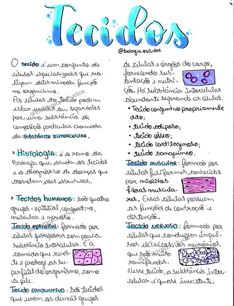 Tecidos Do Corpo 1