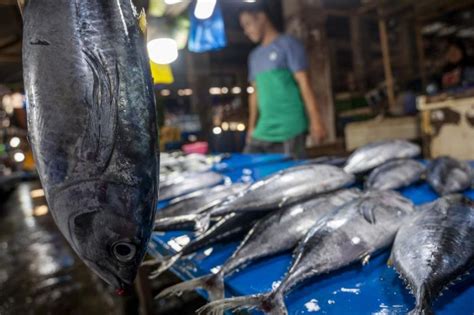 Kkp Jamin Pasokan Ikan Aman Selama Ramadhan Dan Idul Fitri