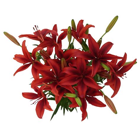 Red Asiatic Lilies Bouquet Flowers Globalrose