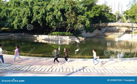 Children Playing in Tuen Mun Park Editorial Stock Photo - Image of tuen, park: 259087538