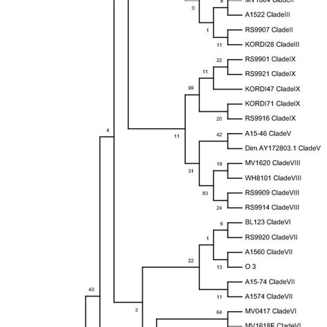 Phylogenetic Tree Constructed From V4V5 16S RRNA Gene Amplicon