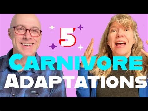 carnivore adaptations youtube