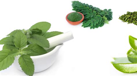 The Rising Demand Of Herbal Product Manufacturers In India