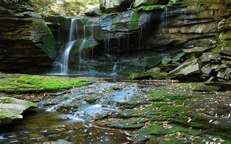 Landscape Forest Waterfall Water Rock Nature Reflection Green