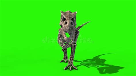 Pantalla Verde Trex Skeleton Walk Static Jurassic World D Rendering