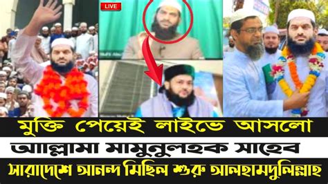 সুখবর মুক্তি পেয়েই লাইভে মামুনুল হক Mamunul Haque News Today