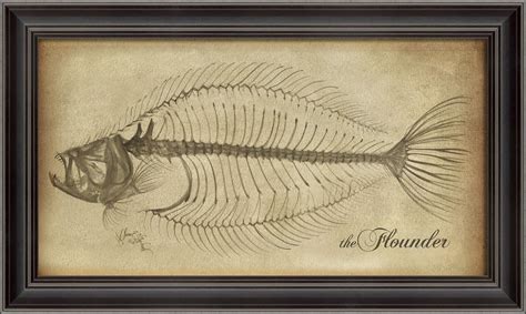 LS Flounder Skeleton on White – Spicher and Company