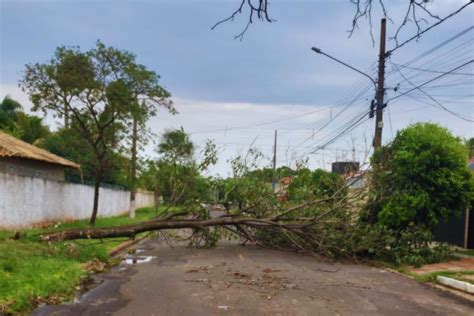 Tempestades E Quedas De árvores Defesa Civil Alerta Para Cuidados