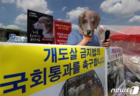 개도살 금지법의 국회통과를 촉구합니다 네이트 뉴스