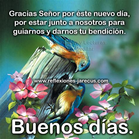 Buenos Días Gracias Señor Por éste Nuevo Día Y Por Tu Bendición Reflexiones Y Lecturas Para