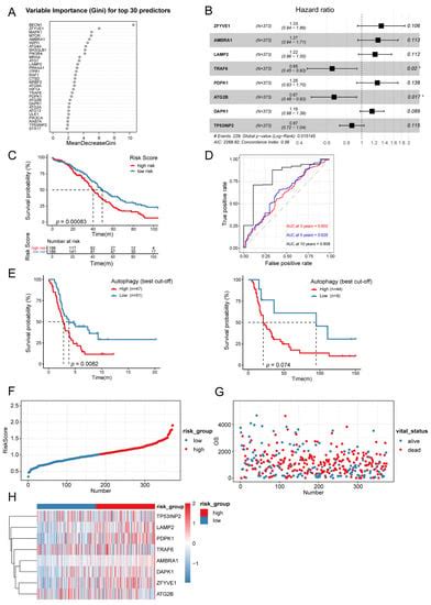 Biomolecules Free Full Text Identification Of An Autophagy Related