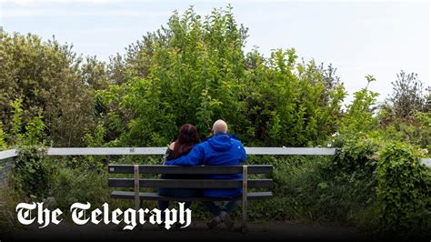 Bournemouth’s picturesque sea views ruined as goats fail to cut it as ...