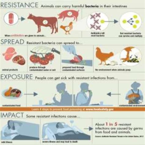 challenges   indian livestock sector  suggested