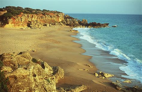 Blog Del Hotel Conil Park Calas De Conil Y Roche