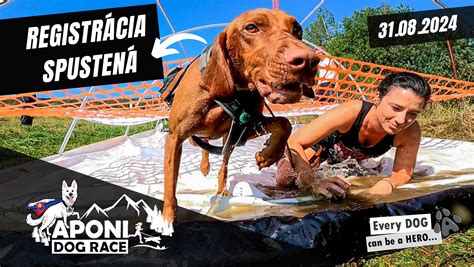 Registrácia na APONI DOG RACE 2025