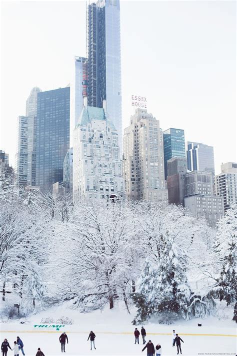 A Winter Wonderland in Central Park | New york christmas, Places to ...