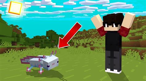 Achei Um Novo Amigo No Minecraft Minecraft Survival Ep Youtube