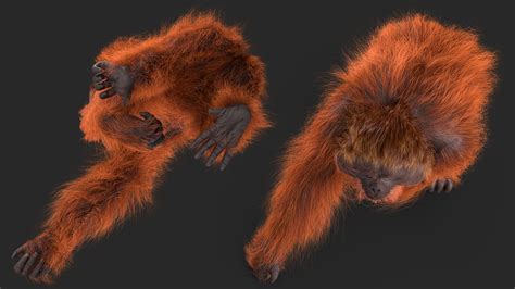 Orangutan Walking Fur 3d Model 129 Max Free3d