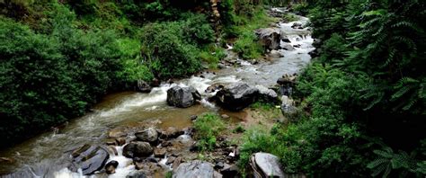 Jalori Pass Himachal Pradesh Expats Travel Together