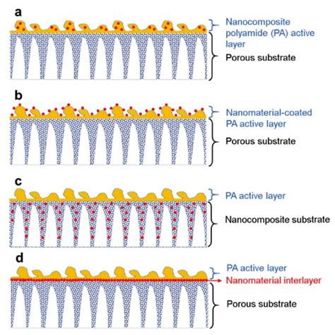 Schematic Diagrams Of The Structures Of Thin Film Nanocomposite Download Scientific Diagram