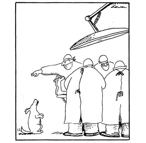 It Was Cruel Stupid And Ridiculous 10 Most Controversial Far Side Comics Ever