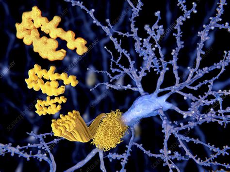 amyloid beta peptide illustration stock image  science