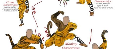 Shaolin Kung fu Techniques and Training in China - Learn Shaolin Kungfu ...