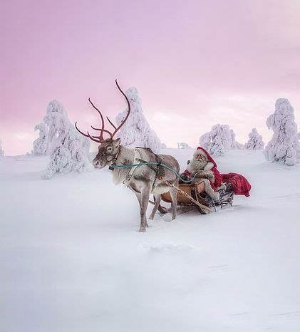 Magical Christmas in Lapland Tour | ROCS Guided Holidays